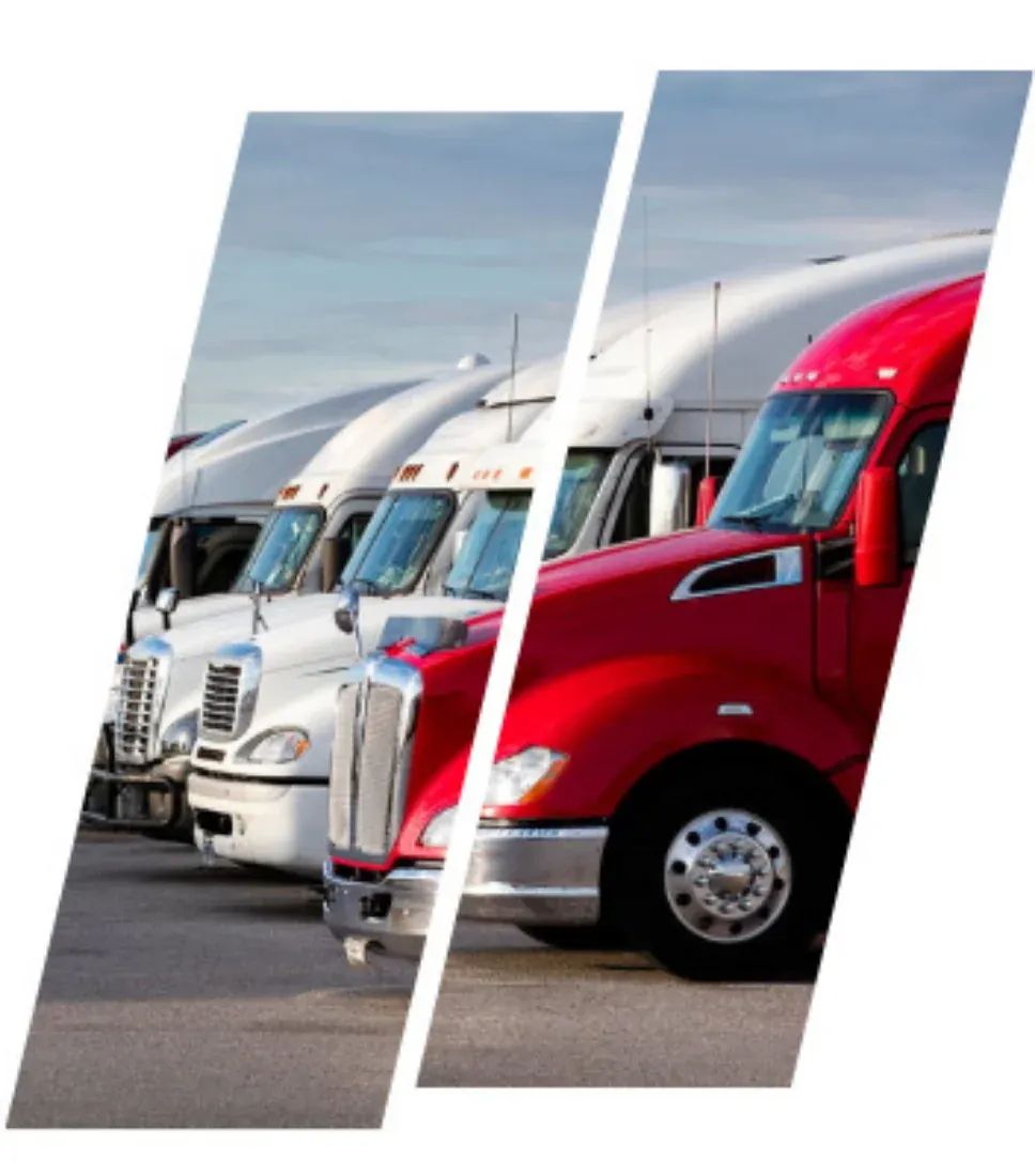 row of trucks